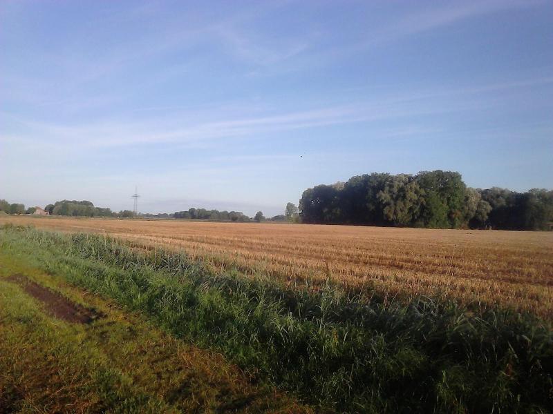 Zum Alten Krug image
