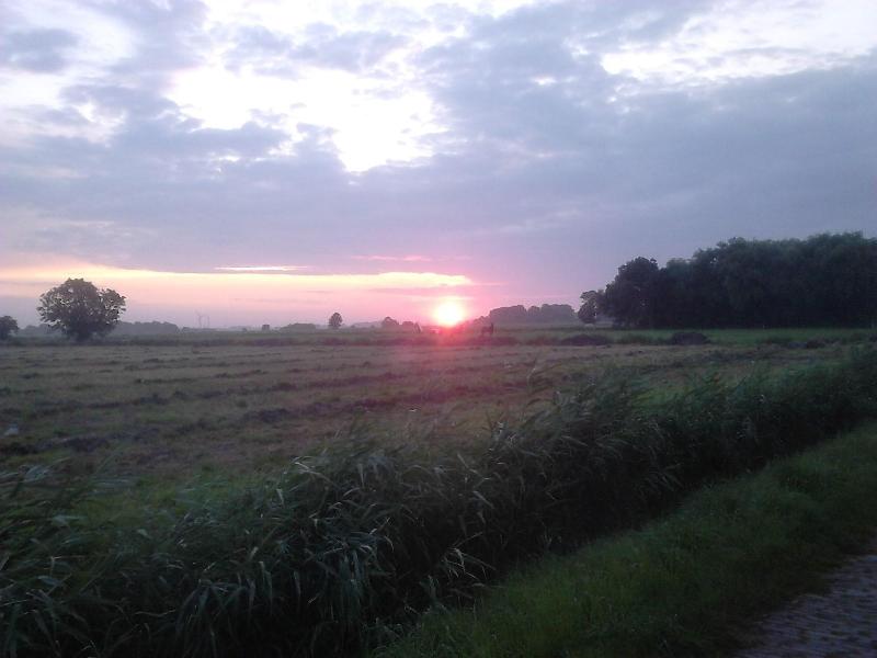 Zum Alten Krug image