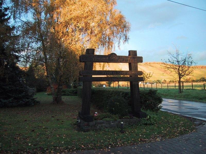 Wein Und Gaestehaus Fries — photo 4