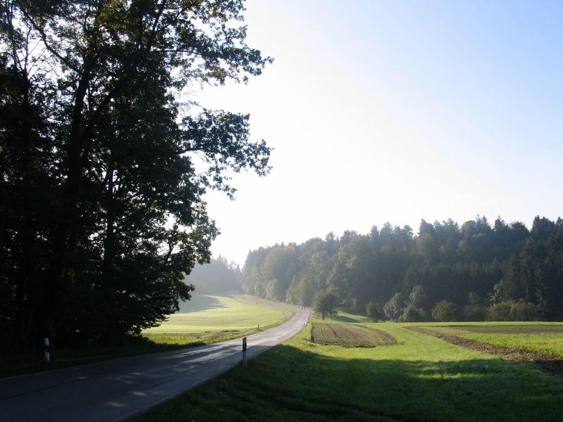 Gasthof Birkenhof image