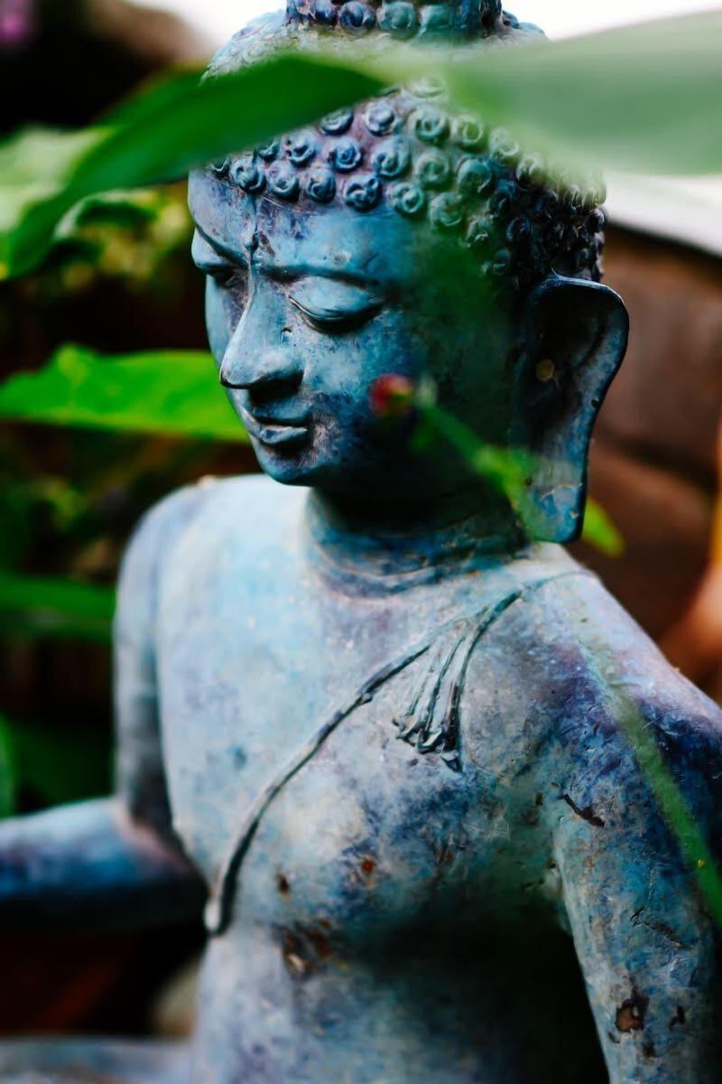 Casa Jardin Del Mango image
