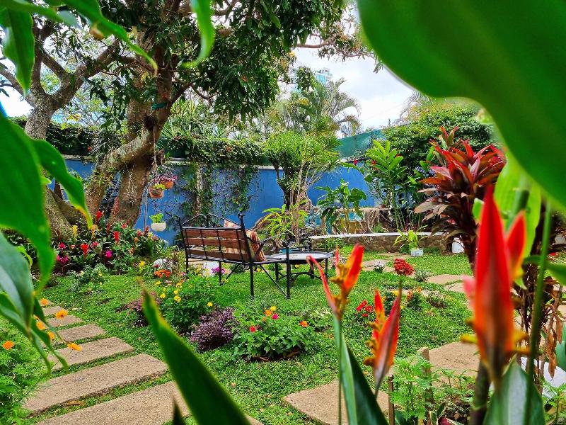 Casa Jardin Del Mango image