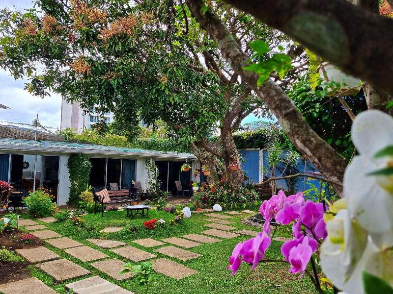 Casa Jardin Del Mango image