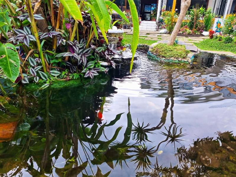 Casa Jardin Del Mango image