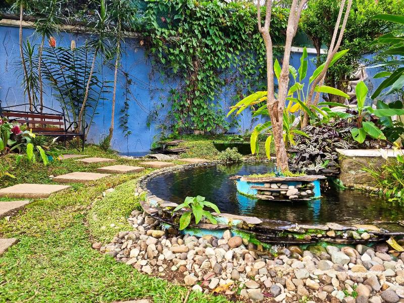 Casa Jardin Del Mango image
