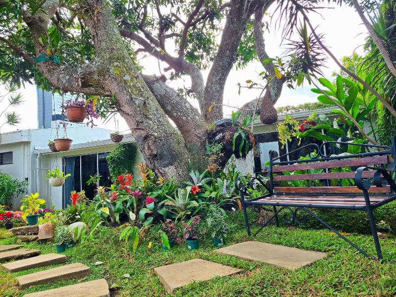 Casa Jardin Del Mango image