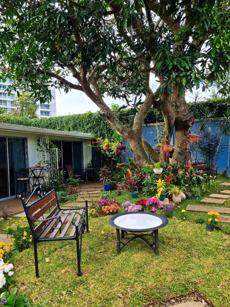 Casa Jardin Del Mango image