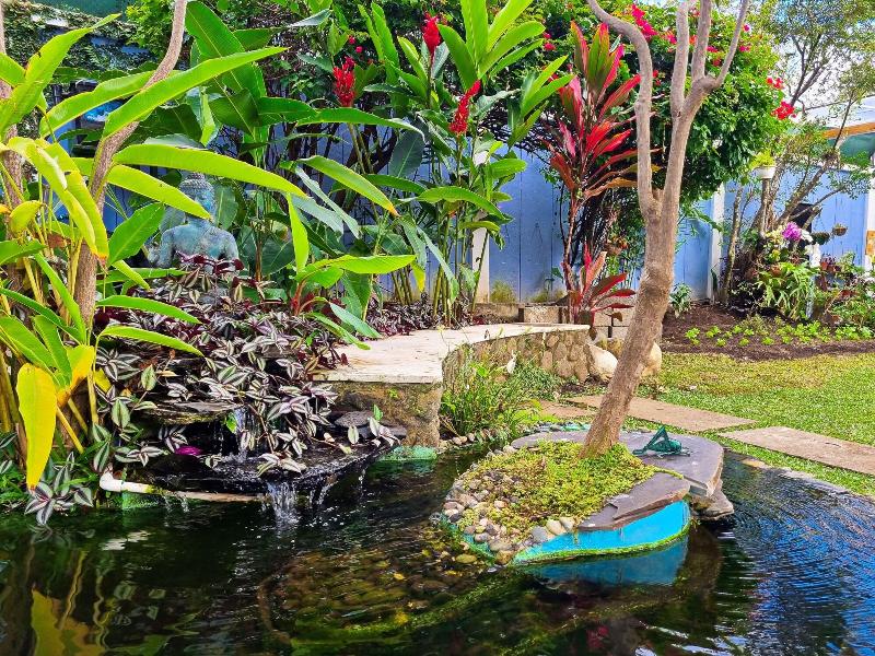 Casa Jardin Del Mango image