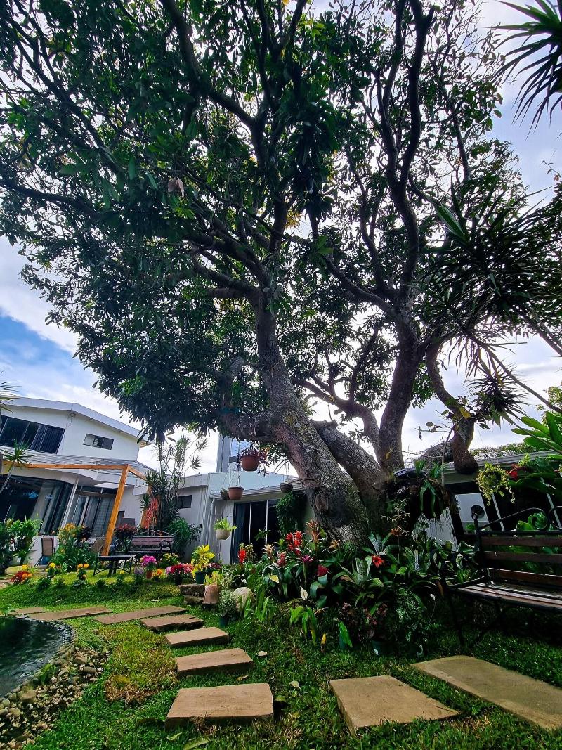Casa Jardin Del Mango image