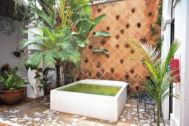 Casa Blanco By Barrio Mexico image