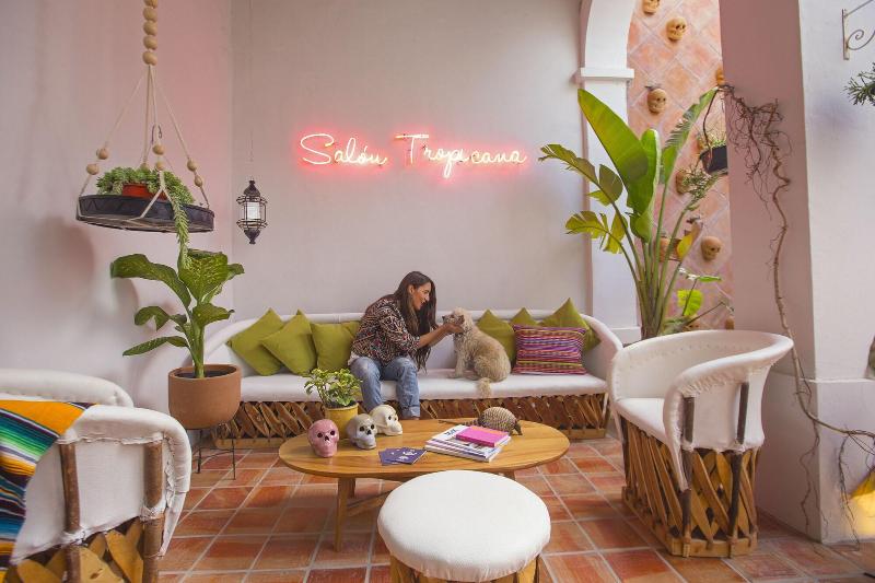 Casa Blanco By Barrio Mexico image