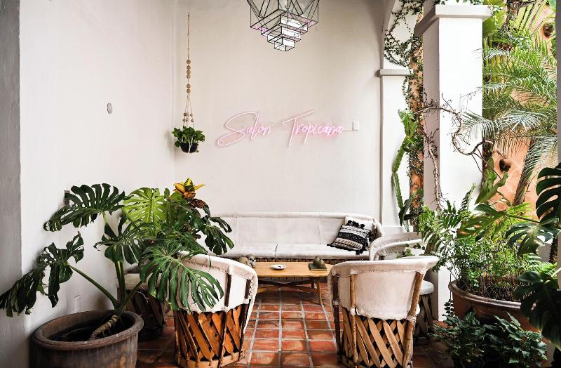 Casa Blanco By Barrio Mexico image