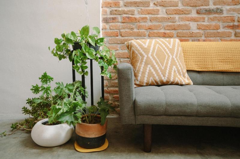 Casa Nican By Barrio Mexico image