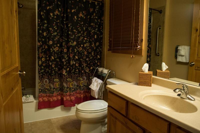 Silver Moon Inn image