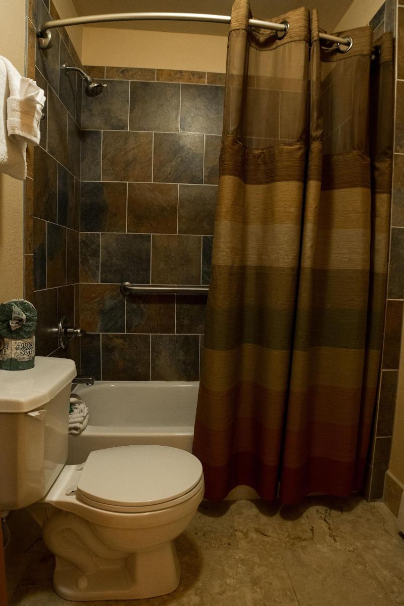 Silver Moon Inn image