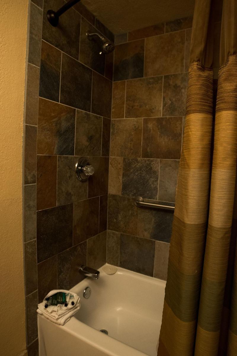 Silver Moon Inn image
