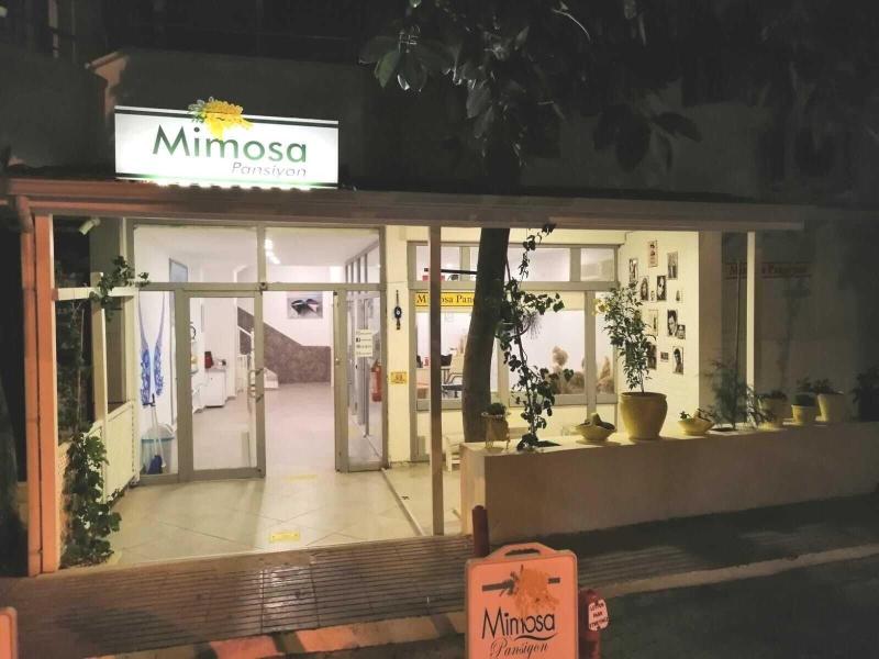 Mimosa Pension — general view
