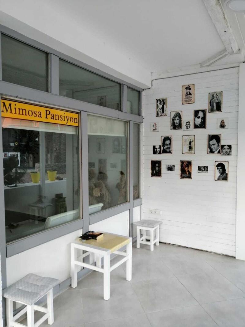 Mimosa Pension — general view