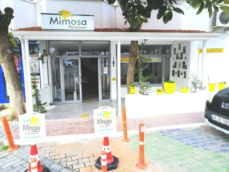 Mimosa Pension — general view