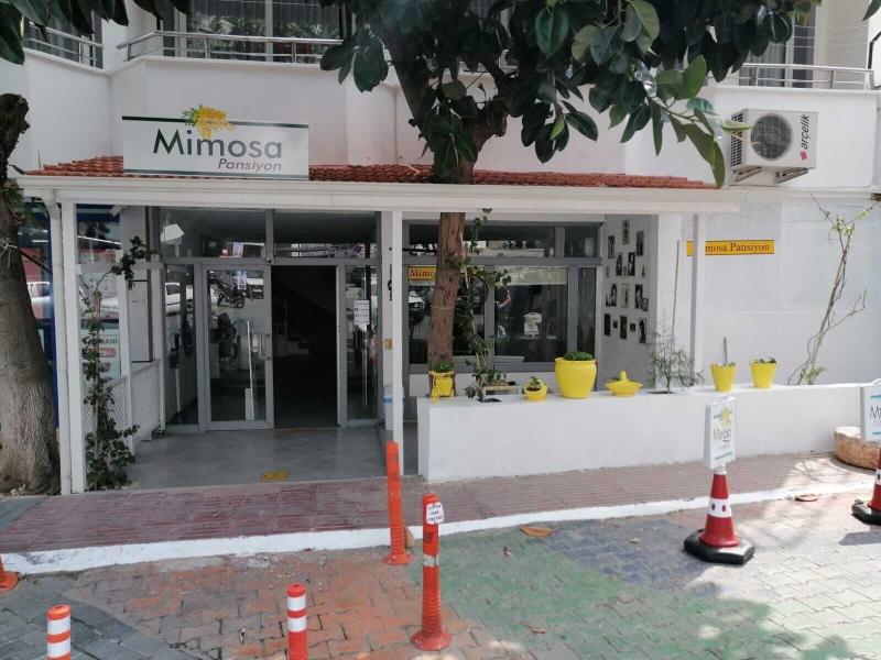 Mimosa Pension — general view