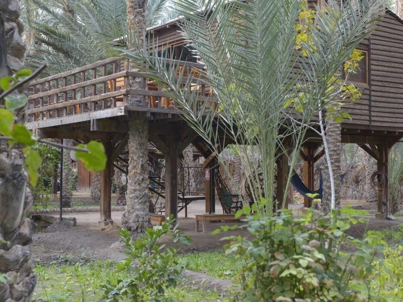 Hotel Diar Abou Habibi image