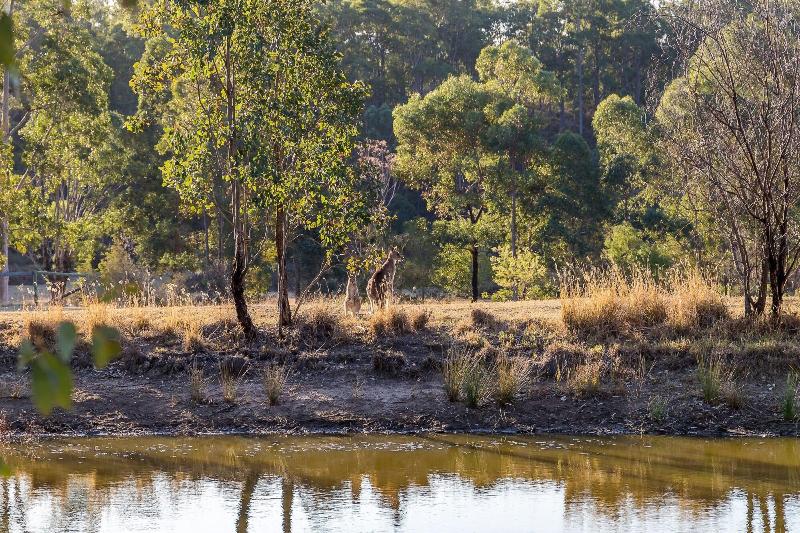 Brokenback Views Country Estate, Pokolbin