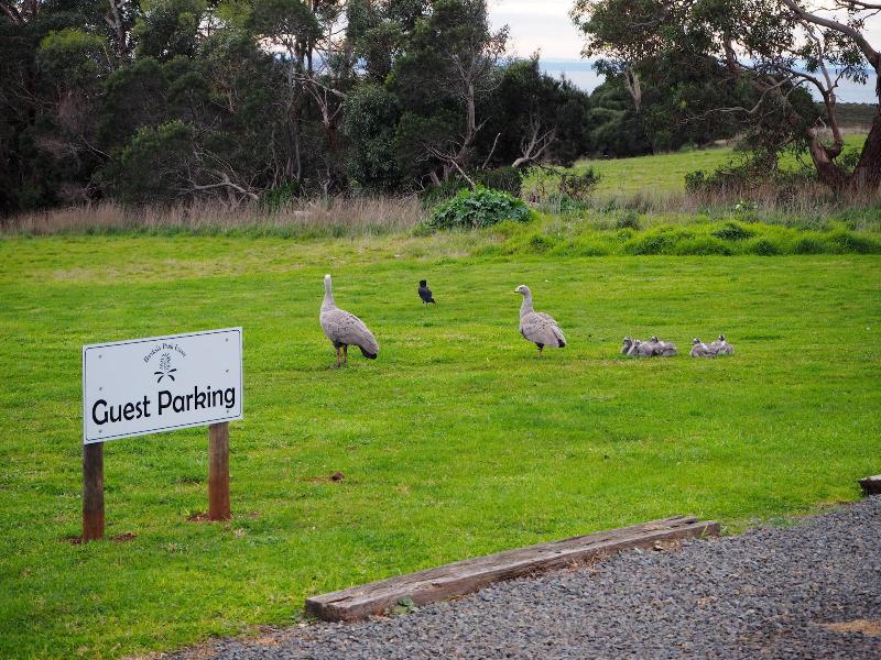 Banksia Park Estate image