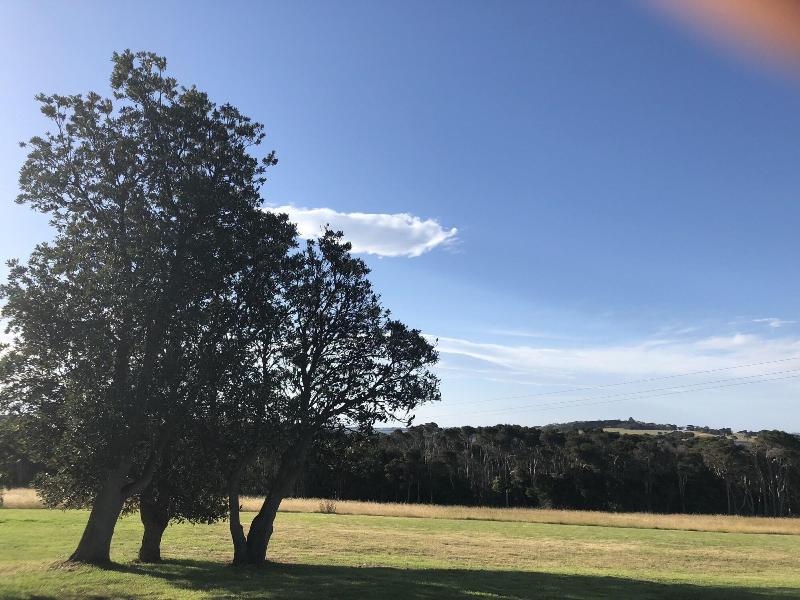 Banksia Park Estate image