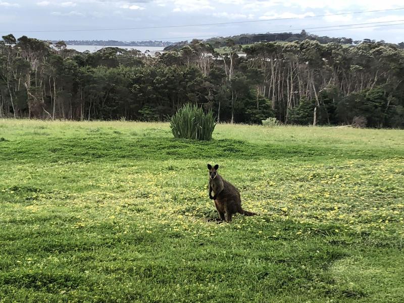 Banksia Park Estate image