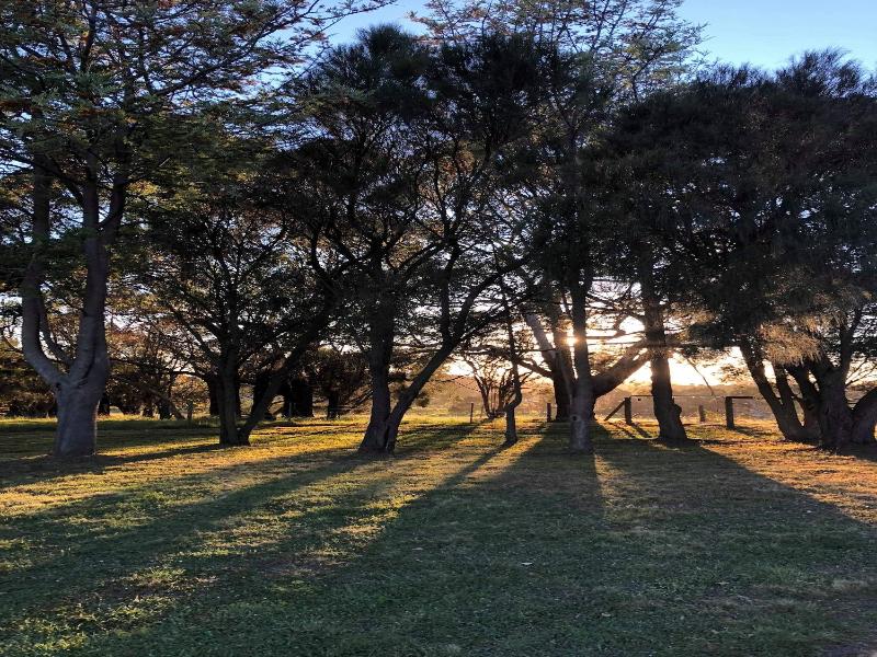 Banksia Park Estate image