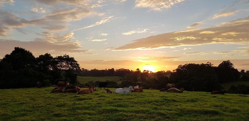 Seasons of Maleny B&B image