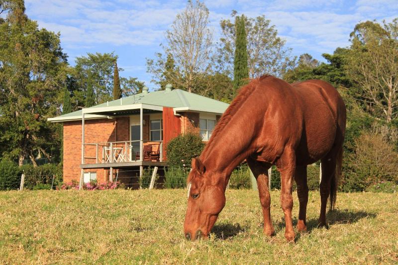 Seasons of Maleny B&B image