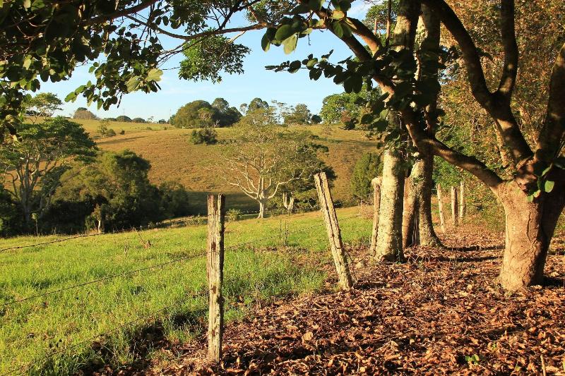 Seasons of Maleny B&B image