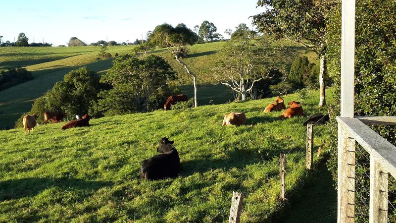 Seasons of Maleny B&B image