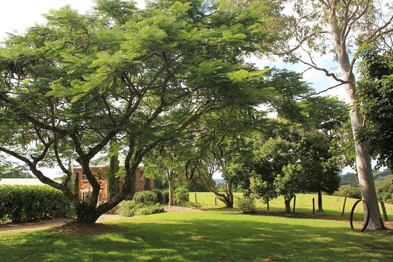 Seasons of Maleny B&B image