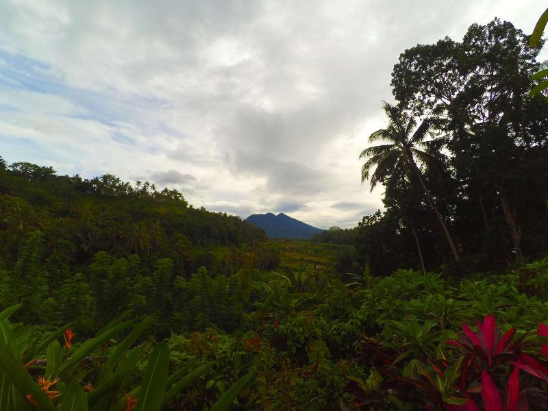 Pondok Batur Indah image