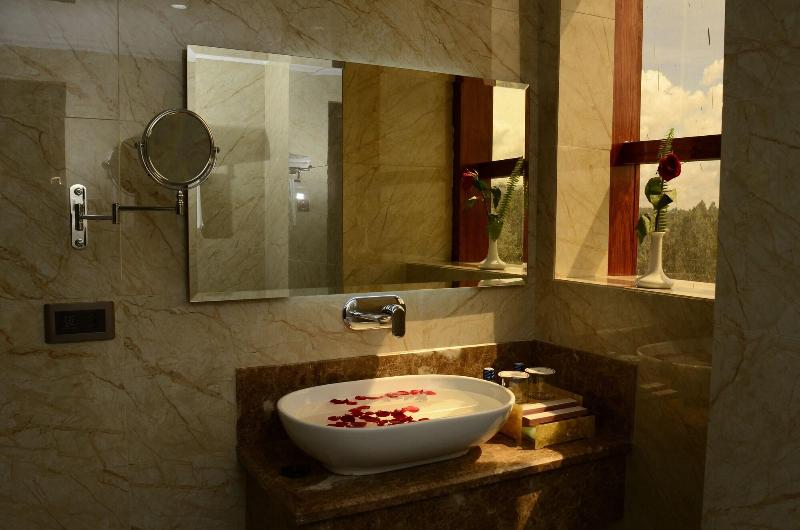 The White Rhino Hotel image