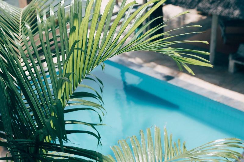Paje Beach Apartments & Hotel image