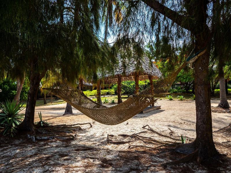 Anna of Zanzibar - All Inclusive — photo 2