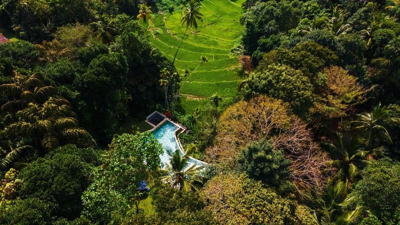 The Kandy House image