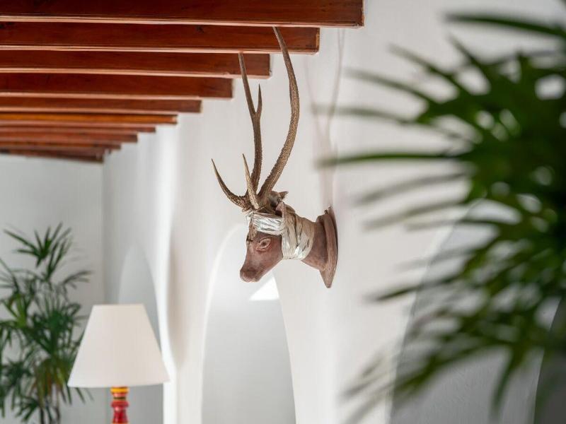 The Kandy House image