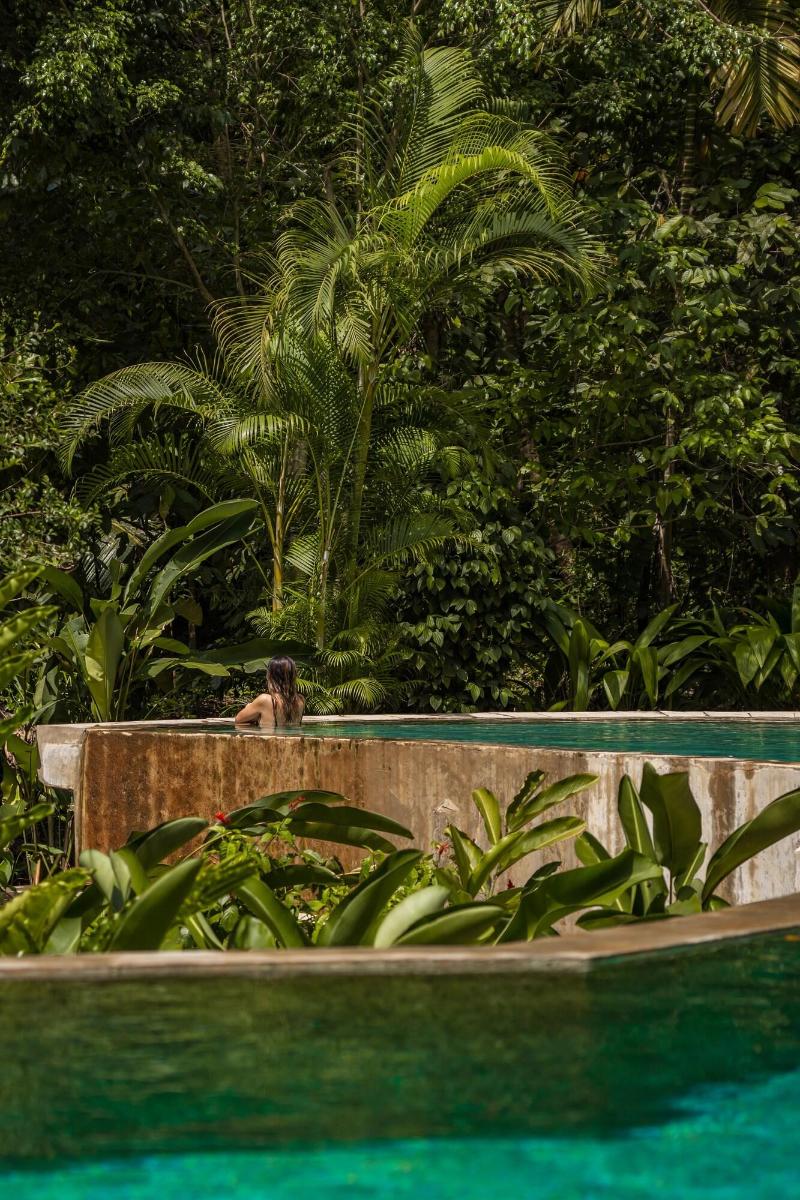 The Kandy House image