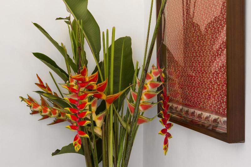 The Kandy House image