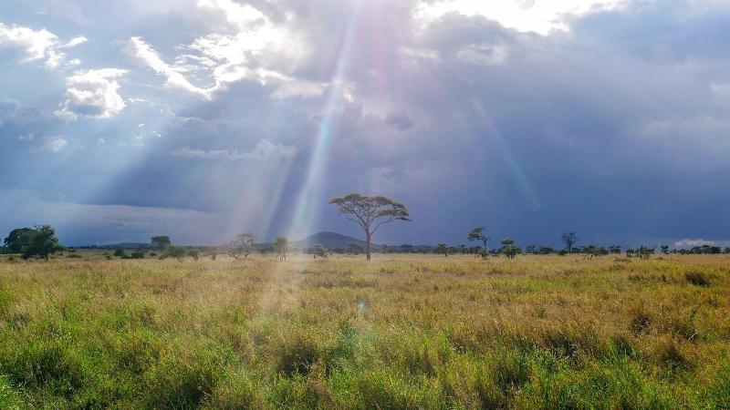 Arusha Villa image