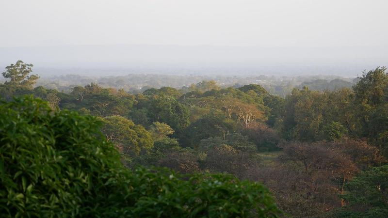 Arusha Villa image