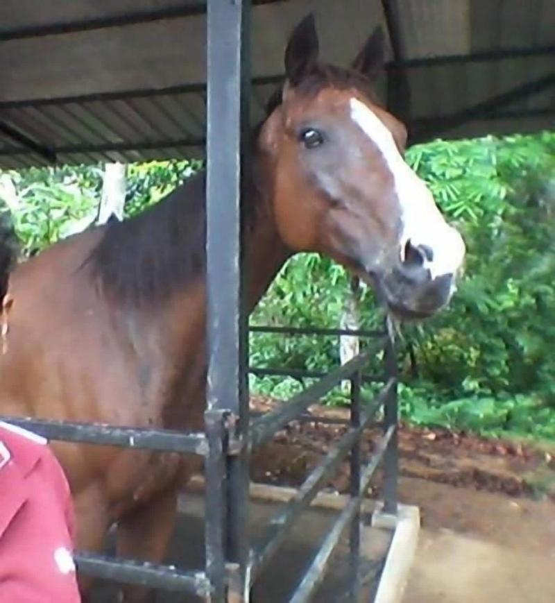Iquest Colombo image