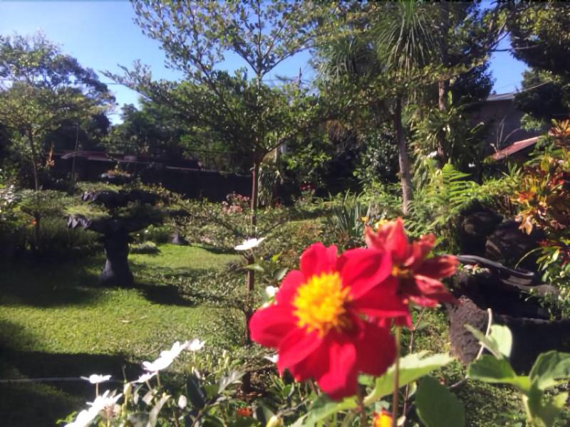 The Garden Family Guest House — general view