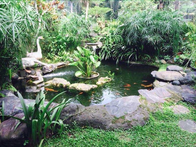 The Garden Family Guest House — general view