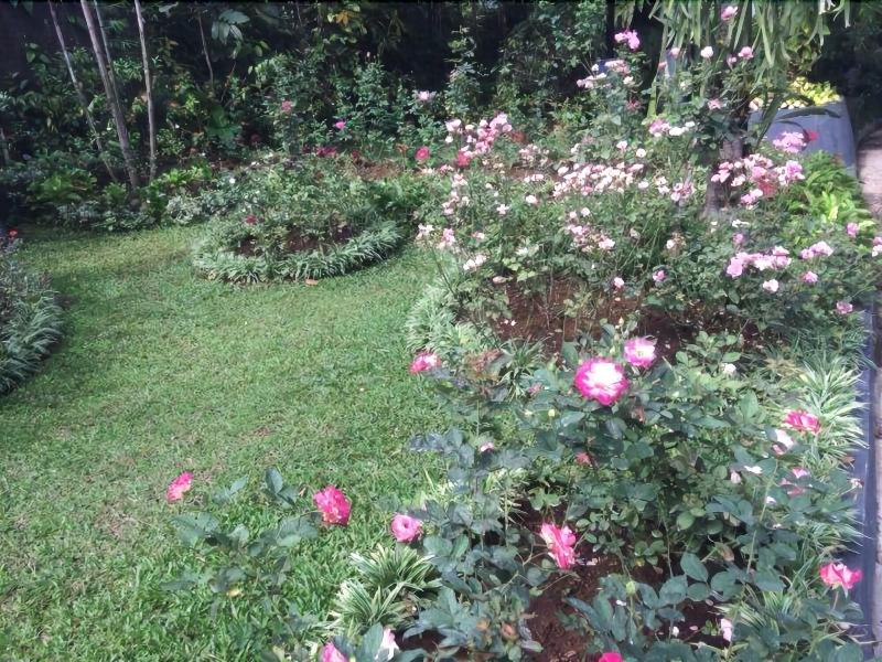 The Garden Family Guest House — general view