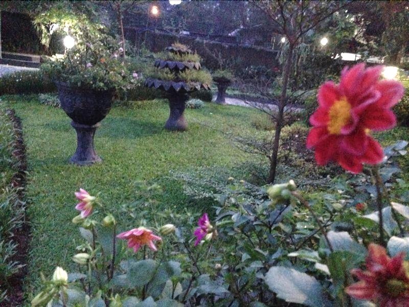 The Garden Family Guest House image